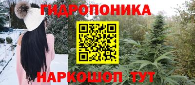 эйфоретик Донской