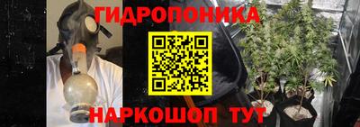 спиды Дубна