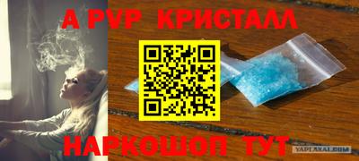эйфоретик Донской