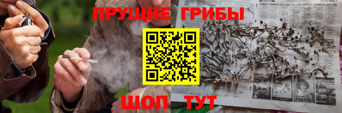Псилоцибиновые грибы MAGIC MUSHROOMS  Галлюциногенные грибы GOLDEN TEACHER  Вход с VPN  Истра 